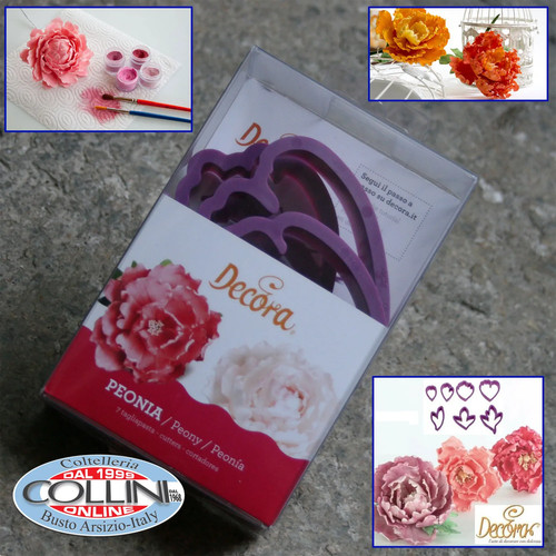 Decora kit peonia - per, fiori